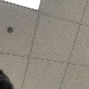 Meet your Posher, Omer